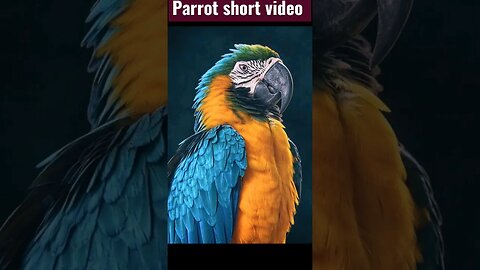 Ringneck Talking Parrot Natural Sounds/Voice🦜🐦🕊️