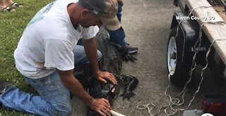 Martin County deputies warning pet owners to be careful after deadly gator attacks