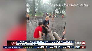 Controversy, criticism over pig scramble at park