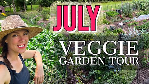 July Vegetable Garden Tour and Cleanup: Zone 6a, Ohio