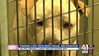 KC Pet Project uses facial recognition app to help owners find lost pets