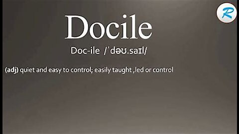 Docile: The Third Eye Network