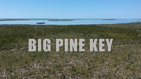 Big Pine Key by Drone