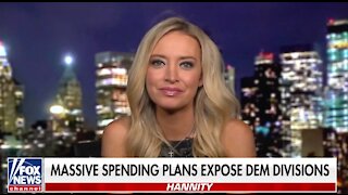 Kayleigh McEnany calls on Republicans in Congress to 'have a spine'