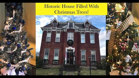 Historic House Filled With Christmas Trees