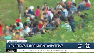 In-Depth: Do COVID surges lead to immigration increases?