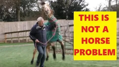 How to Make A Dangerous Horse - Not A Horse Problem - Understanding Pressure & Release Of Pressure
