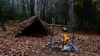 Building Debris Hut Survival Shelter. Primitive Technology and Bushcraft Camping #shorts