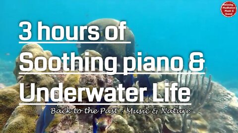 Soothing music with piano and underwater sound for 3 hours, music to relax your body and mind