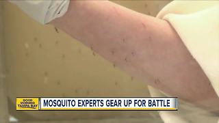 Mosquito experts warn of extra-buggy summer