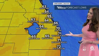 South Florida weather 3/29/20