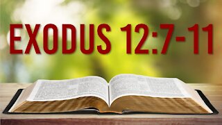 EXODUS 12: 7-11 – THE IMPORTANCE OF THE PASSOVER IN THE BOOK OF EXODUS