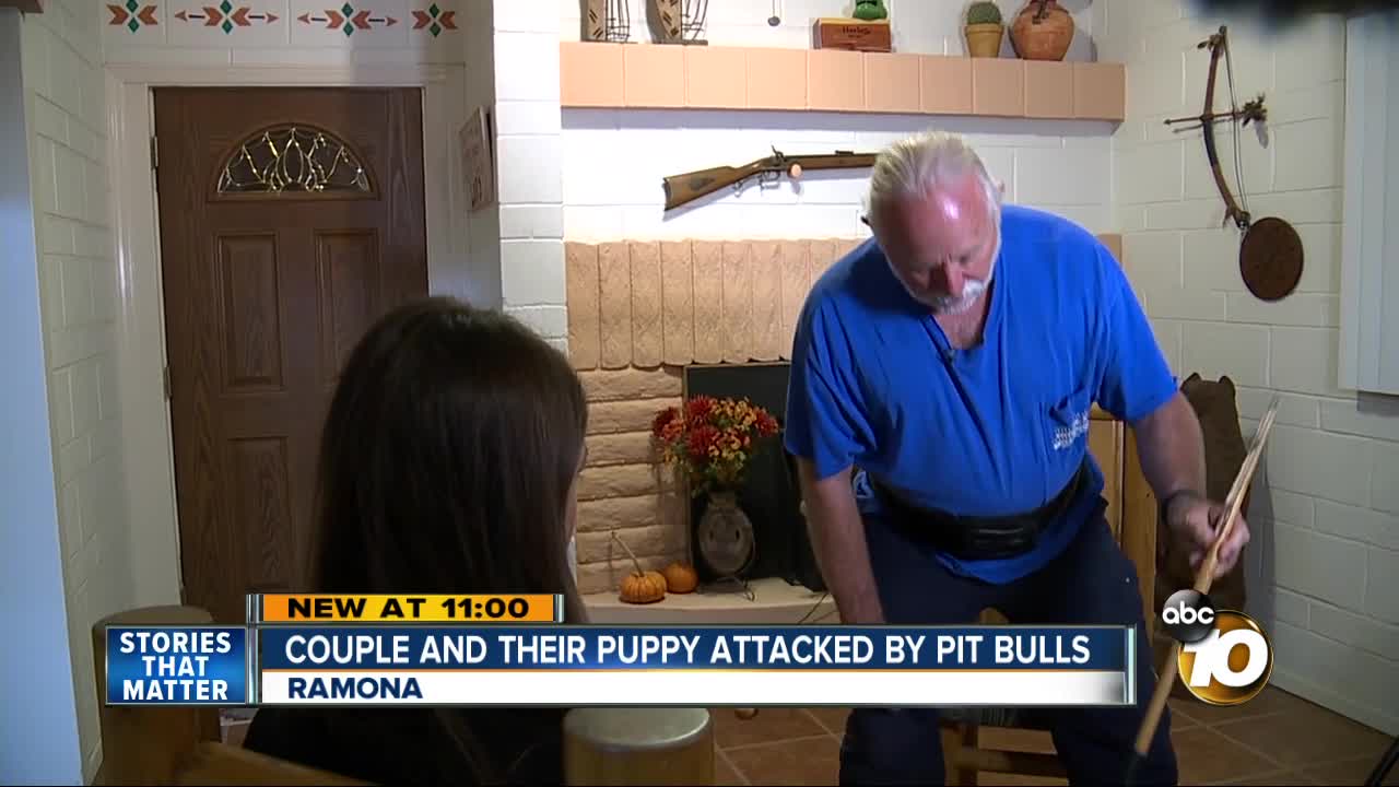 Pit bulls attack Ramona couple and their puppy
