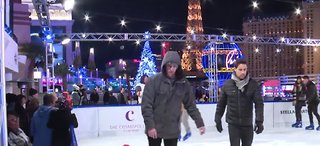 Benny the ice-skating dog at Cosmopolitan