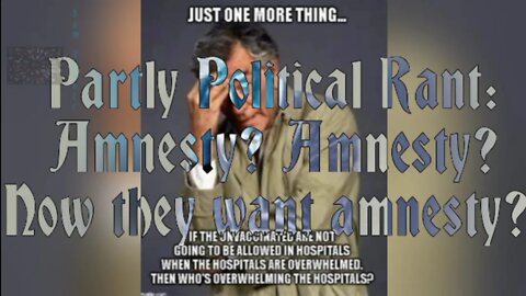 Partly Political Rant: Amnesty? Amnesty? Now they want amnesty?