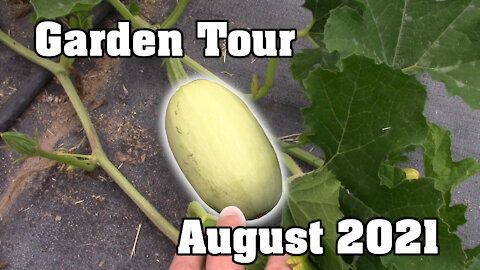 Garden Tour: August 2021