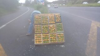 SOUTH AFRICA - Durban - Mango sellers on the freeway (Videos) (r9v)