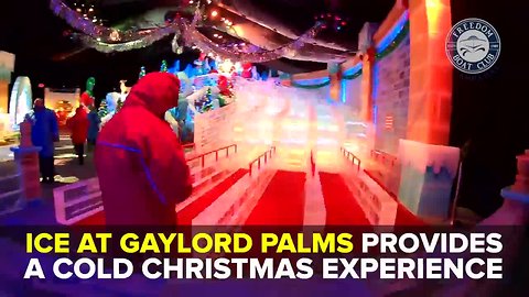 ICE! at Gaylord Palms is a winter wonderland | Taste and See Tampa Bay