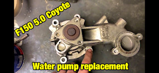 F150 5.0 Coyote water pump replacement