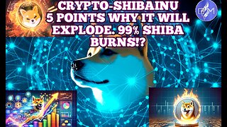 CRYPTO-SHINAINU 5 points why it will explode.99% SHIBA BURNS?