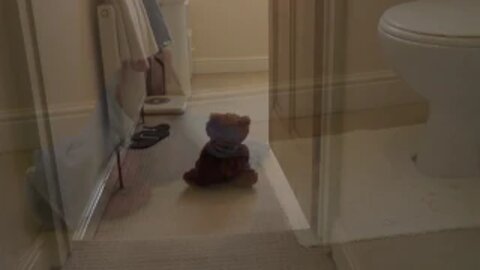 Danny The Teddy Searching For His Princess