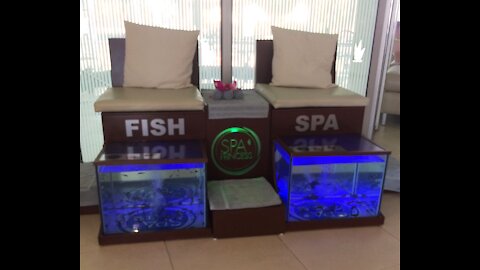 RELAXING FISH SPA ... Exfoliation Galore!