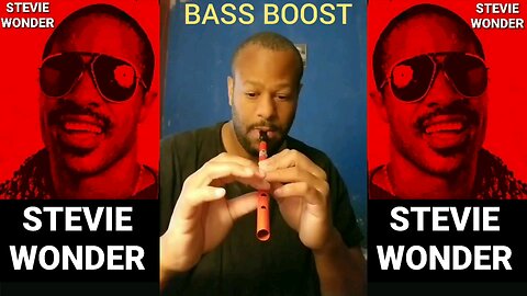 TIN WHISTLE - STEVIE WONDER - ISNT SHE LOVELY (BASS BOOST VERSION)