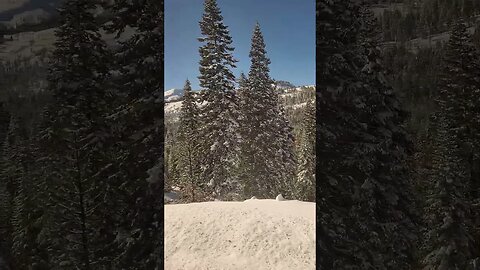 Beautiful Views by Lake Tahoe from California Zephyr! - Part 2