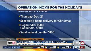 Animal adoption home delivery for Christmas