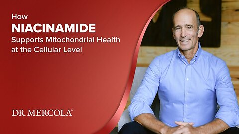 How NIACINAMIDE Supports Mitochondrial Health at the Cellular Level