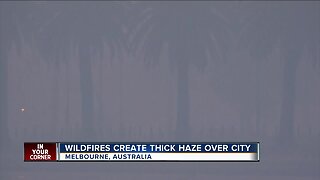 Humane Society rescuing animals in Australia as smoke becomes hazardous