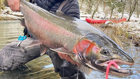 https://ak2.rmbl.ws/s8/1/N/8/m/f/N8mfk.oq1b.2-small-Steelhead-Fishing-Rigs-and-.jpg
