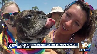 Celebrating Diversity at the SD Pride Parade