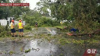 Trees down in Pinellas County