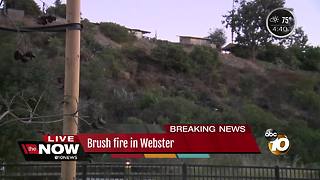 Crews knock down 'suspicious' brush fire in Webster