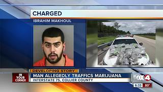 43 pounds of marijuana confiscated in Alligator Alley bust