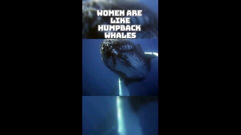 Women are like Humpback whales...