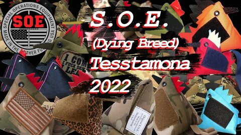 S.O.E.(Dying Breed)@Tesstamona Official video #soe #soedothethings #SpecialOperationsEquipment #CM4L