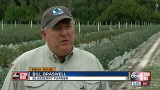 Call for new protections for Florida farmers