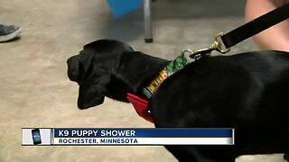 K9 Puppy Shower