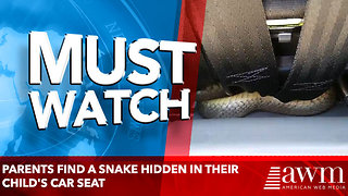 Parents find a SNAKE hidden in their child's car seat