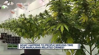 What happens for people serving time for pot-related crimes?