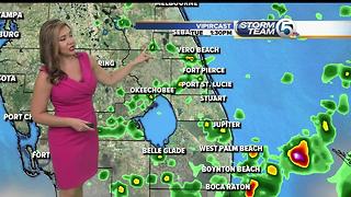 South Florida weather 8/1/17 - 4am report