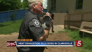 3 Dogs Die Of Heat Exhaustion In Clarksville