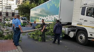 SOUTH AFRICA - Cape Town - Tree branch falls onto Checkers truck (Video) (WKD)