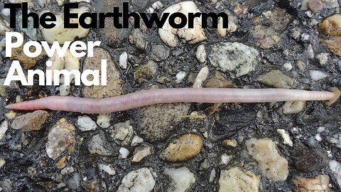 Earthworm Power Animal