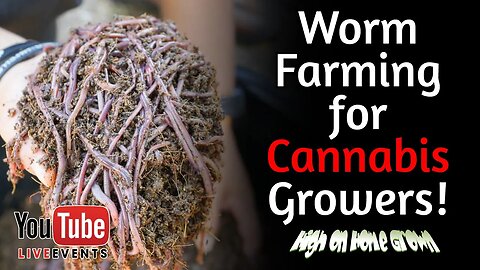 How to Start and Maintain a Worm Farm for Your Cannabis Grow, Cannabis News, Episode 122