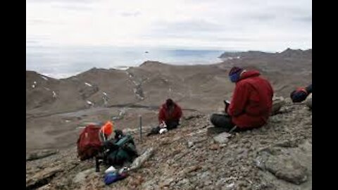 Alien Remains in Antarctica? Three new elongated skulls uncovered in Antarctica