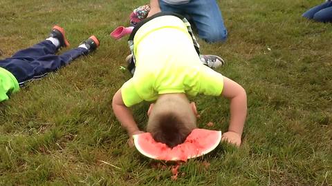 Funny Watermelon Tournament