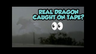 Real Dragon Footage? - Fact or Fake 🤔